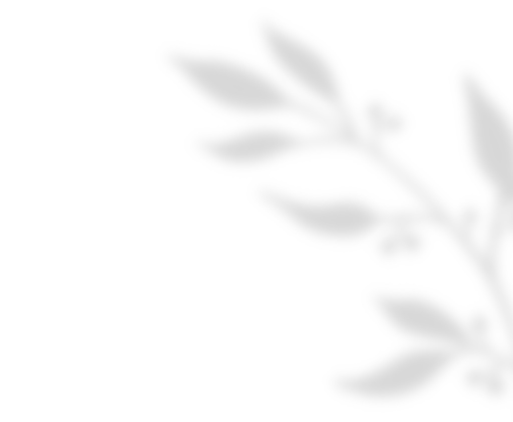 https://rawstudiowedding.it/wp-content/uploads/2020/11/shadow_leaves_01-1.png